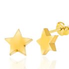 gumus-gold-yildiz-civili-kadin-kupe-1-ivili-kpeler-gumush-46159-74-B