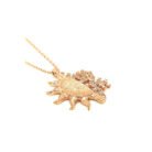 gumus-rose-gunes-kartanesi-bayan-kolye-zirkon-tal-kolyeler-gumush-0-38597-60-B