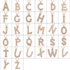 gumus-rose-m-harfi-kadin-kolye-harfli-kolyeler-gumush-41141-67-B