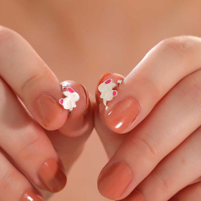 gumus-tavsan-cocuk-kupesi-8143-ocuk-kpeleri-gumush-47409-81-B