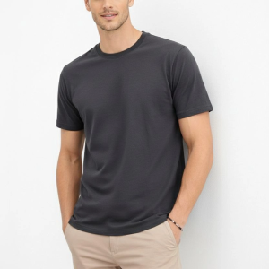 Erkek Bisiklet Yaka Yazlık Kısa kol Düz Tişört Regular Kalıp T-shirt – Füme